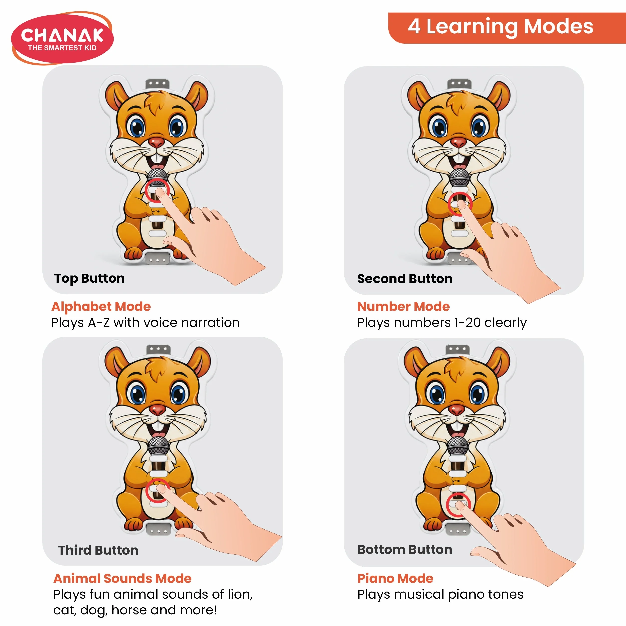 Chanak Squirrel Musical Toy for Kids 3+ Years | Realistic Singing Squirrel with Sound & Light – BIS Approved - Image 6