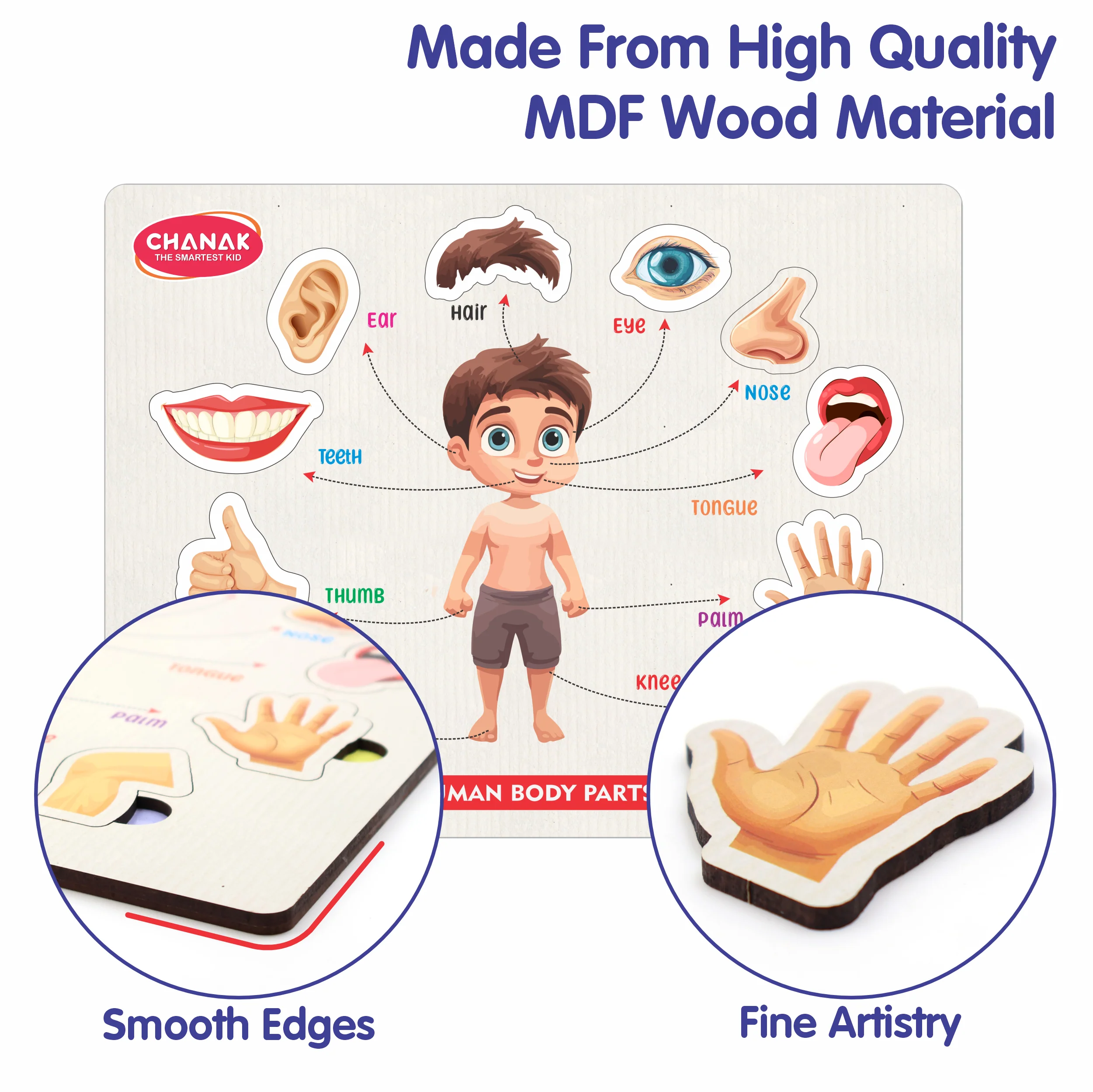 Chanak Wooden Human Body Parts Puzzle for Kids 2+ Years | 10 Pc Montessori Anatomy Learning Board – BIS Approved - Image 4